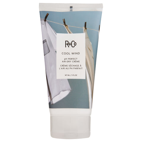 R+Co Cool Wind pH Perfect Air Dry Creme | Apothecarie New York