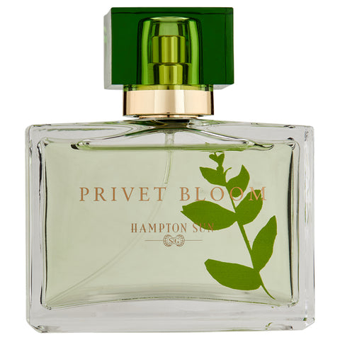 Hampton Sun Privet Bloom Eau de Parfum | Apothecarie New York