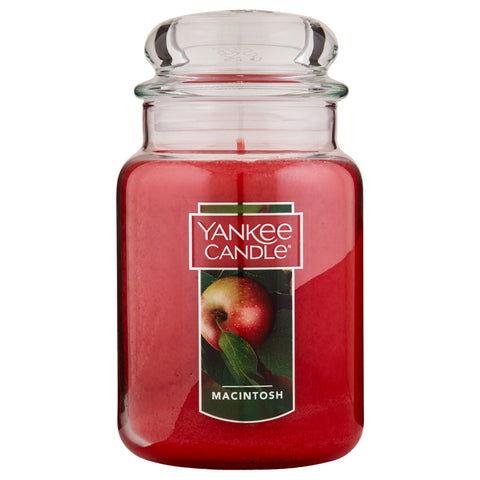 Yankee Candle Macintosh Original Large Jar Candle | Apothecarie New York